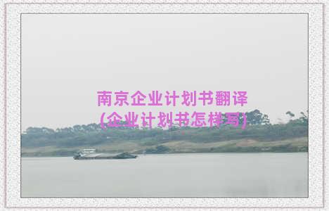 南京企业计划书翻译(企业计划书怎样写)